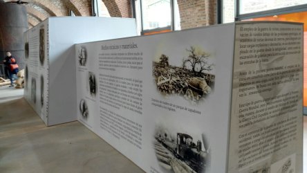 Gráfica expositiva
